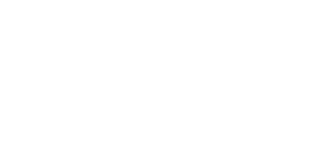 Nissoft